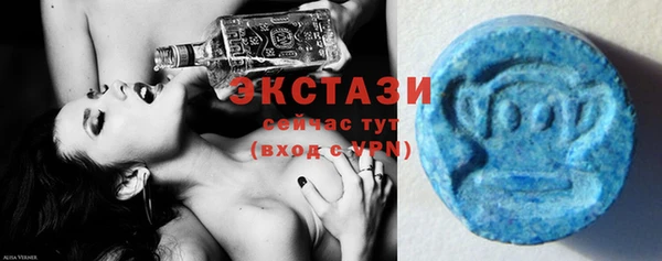 мдпв Козловка