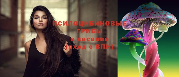 герыч Козельск