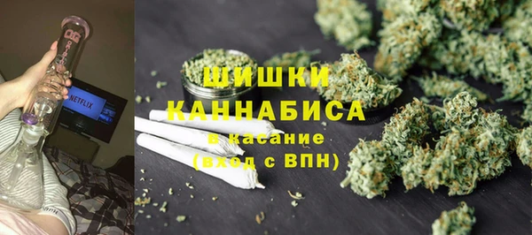 мдпв Козловка