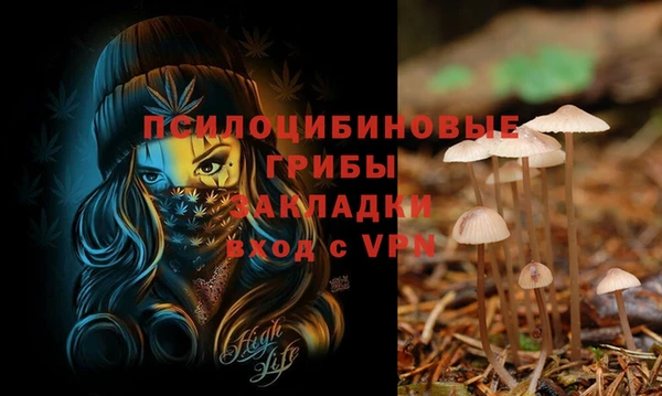 прущая мука Кодинск