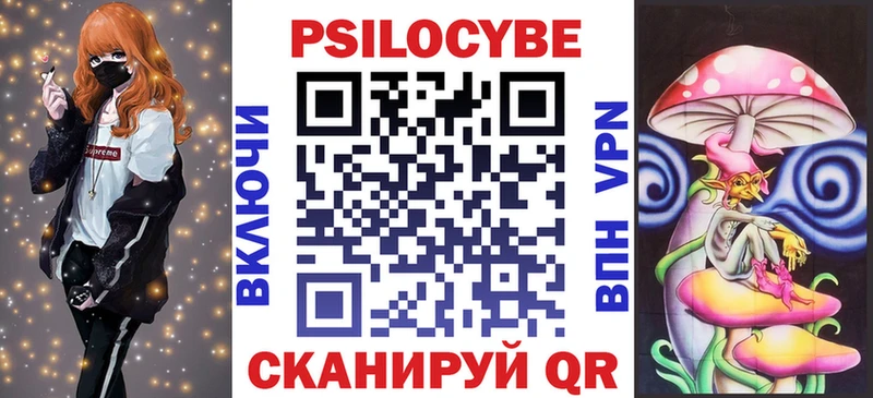 Купить закладки  Пошехонье  Галлюциногенные грибы мухоморы 